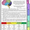 SPANISH VERSION | Mental Health Workbook for Teens I CBT Portfolio Collection - Image 3
