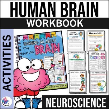 HUMAN BRAIN WORKBOOK FOR KIDS I FLIP YOUR LID Brain Activities I Neuroscience