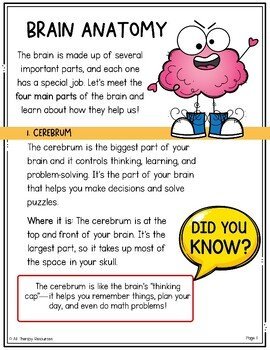 HUMAN BRAIN WORKBOOK FOR KIDS I FLIP YOUR LID Brain Activities I Neuroscience - Image 4