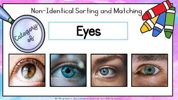 Non-Identical Sorting - Body Parts & Facial Features - Special Education - Image 3