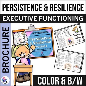 PERSISTENCE & RESILIENCE Brochure I SEL, Trauma-Informed & Executive Functioning